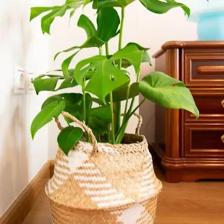 Kadiani's By 8essentially Apartamento